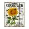 Stupell Industries Organic Sunflower Farm Canvas Wall Art Design by Creatif Belle